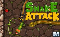 Snake Attack