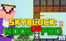 Skyblock: Noob VS Pro